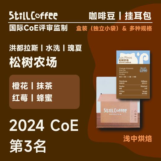 松树农场 水洗｜橙花香  抹茶 蜂蜜甜 商品图0