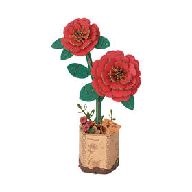 W-RT-TW031 若物 红山茶