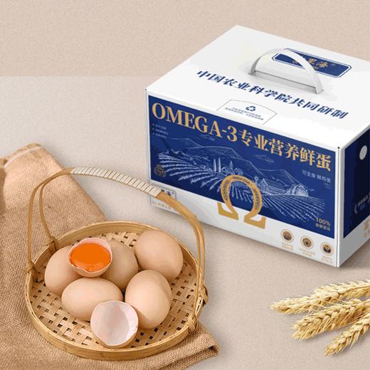 欧米伽3专业营养鲜鸡蛋30枚 商品图1