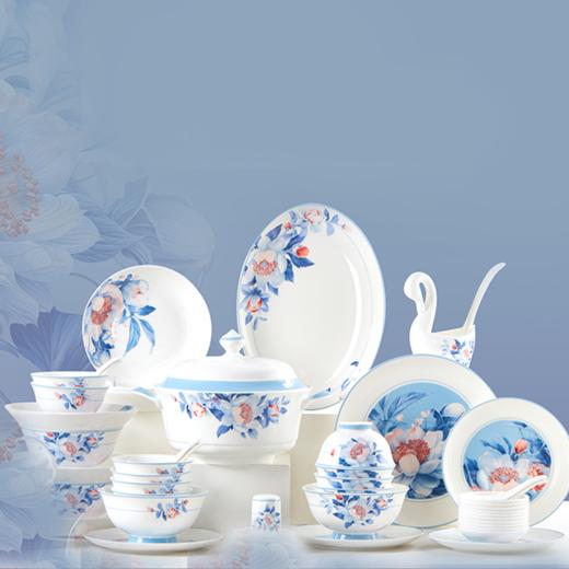 【清仓特惠4.5折，最后1套，无货退款】50头骨瓷餐具凡瑞斯倾心相映釉中彩50头10人份骨瓷餐具【不支持补差，非质量问题不退不换】 商品图0