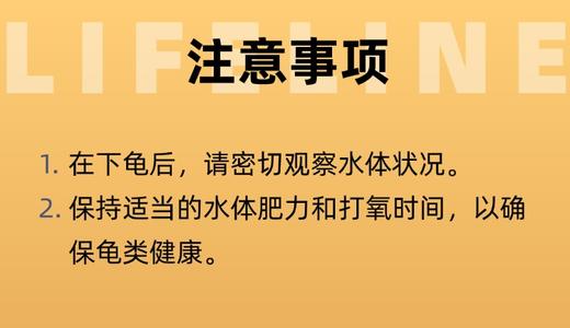 水体肥菌包：预防腐皮腐甲真菌肠胃炎等疾病 商品图1