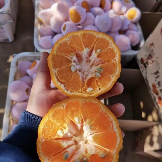 【云南山地椪柑】顺丰包邮 酸甜多汁 肉质纯厚 丝质柔滑 果粒饱满 多种规格任选 商品图3