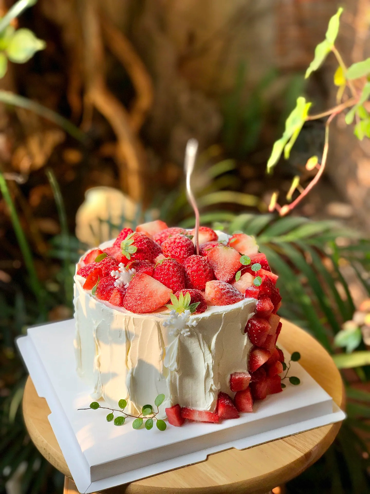 莓开四季（含酒可选）