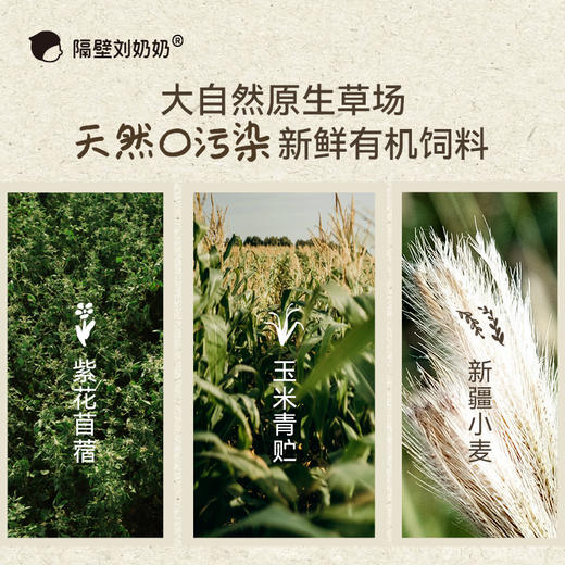 分销单链【26年开学季】隔壁刘奶奶重磅新品🔥🔥🔥新疆天山有机mini纯牛奶🥛源自天山有机!，自然甜，妈妈安心喝得放心！ 商品图5