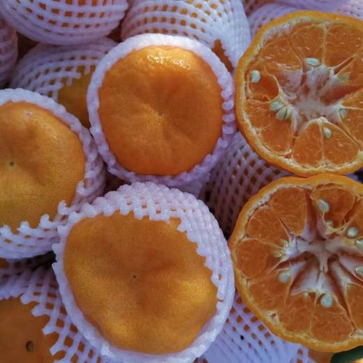 【云南山地椪柑】顺丰包邮 酸甜多汁 肉质纯厚 丝质柔滑 果粒饱满 多种规格任选 商品图6