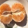 【云南山地椪柑】顺丰包邮 酸甜多汁 肉质纯厚 丝质柔滑 果粒饱满 多种规格任选 商品缩略图4