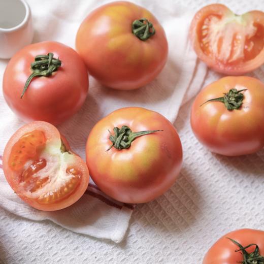有机西红柿（瑞粉） | Organic-tomato 商品图1