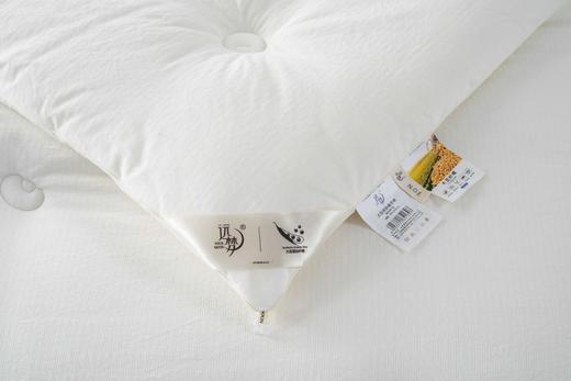 【远梦】大豆亲肤暖冬被 商品图6