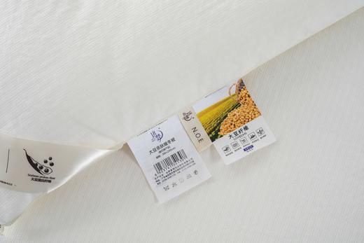 【远梦】大豆亲肤暖冬被 商品图7