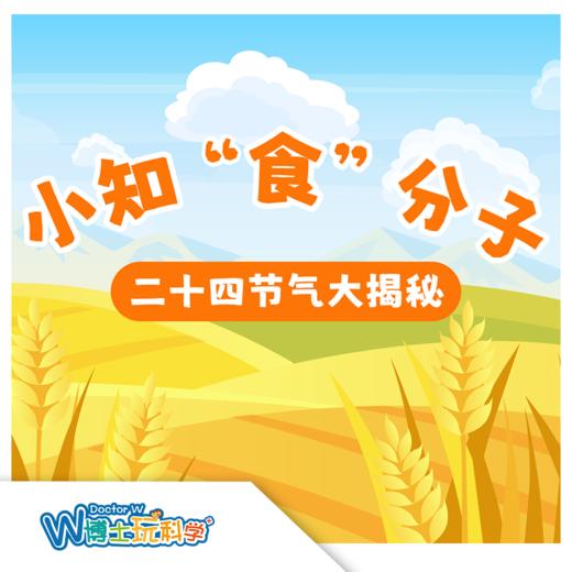 W博士玩科学｜【小知食分子-二十四节气大冒险】 商品图0