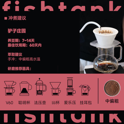 巴拿马 驴子庄园 瑰夏 商品图3