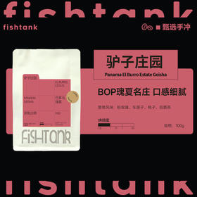 巴拿马 驴子庄园 瑰夏