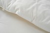 【远梦】大豆亲肤暖冬被 商品缩略图4