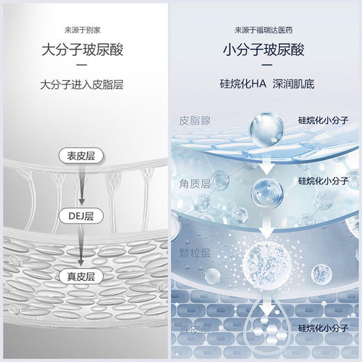 【3.8女神节特惠】【质典玻尿酸菁纯水库次抛精华液】1.3ml*30支  有效期至2026年7月 商品图3