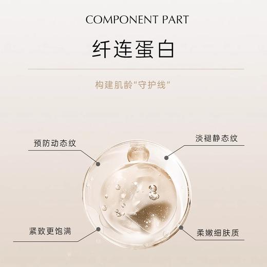 分销专属|【质典纤连蛋白弹润紧致次抛精华液】1.3ml*30支    有效期至2026年9月 商品图4