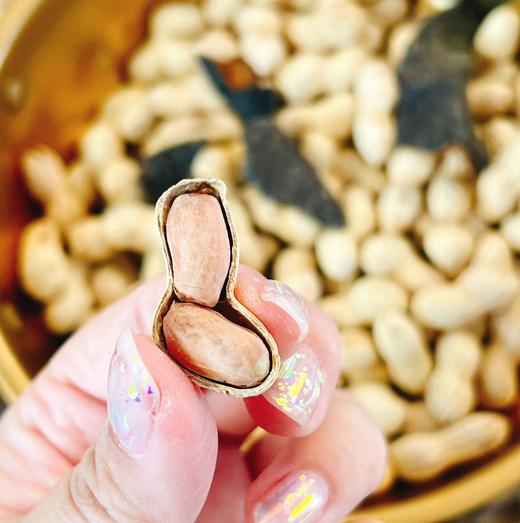 鲤妤 精选新会陈皮花生500g 商品图1