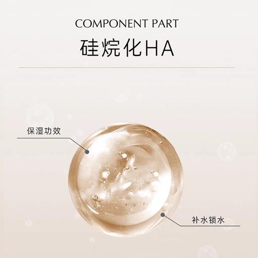 分销专属|【质典纤连蛋白弹润紧致次抛精华液】1.3ml*30支    有效期至2026年9月 商品图3