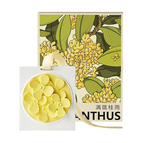 D-FK-xg02 赋刻 满陇桂雨 桂花香挂 香氛