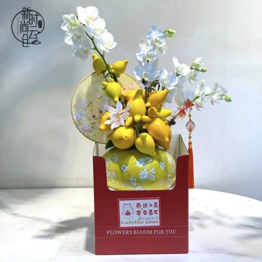 盆栽双侧展示盒 商品图1