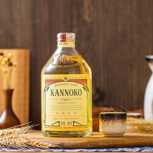 日本萨摩烧酒 神之河 神之湧 大麦本格烧酒 25%vol 720ml 商品图1