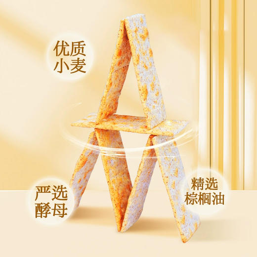 意大利进口可意奇-全麦|原味梳打饼干250g 商品图4