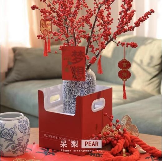 盆栽双侧展示盒 商品图4