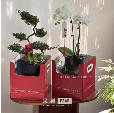 盆栽双侧展示盒 商品图3