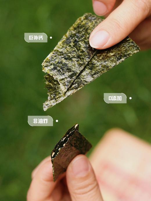 六一小盆友健康食养六一小盆友健康食养芝麻夹心海苔 商品图4