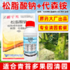 大鹏松脂酸钠升级版苍穹剑代森铵组合蚧壳虫介壳虫害虫果树清园剂 商品缩略图1