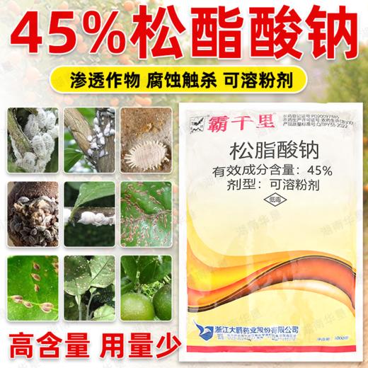大鹏松脂酸钠升级版蚧壳虫专杀柑橘果树粉介壳虫矢尖蚧清园剂正品 商品图1