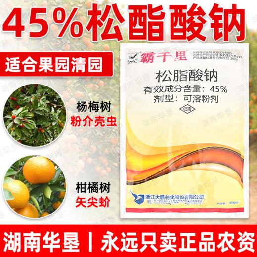 大鹏松脂酸钠升级版蚧壳虫专杀柑橘果树粉介壳虫矢尖蚧清园剂正品 商品图3