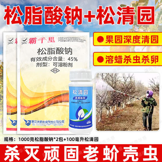 正品大鹏松脂酸钠松清园套餐果树柑橘树矢尖蚧粉介壳虫专用清园剂 商品图0