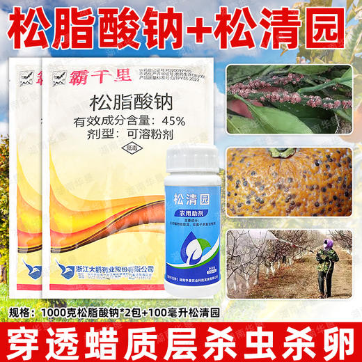 正品大鹏松脂酸钠松清园套餐果树柑橘树矢尖蚧粉介壳虫专用清园剂 商品图1