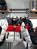 现货越南产 北面/TN Eco Utility Down Jacket 撞色口袋保暖复古立领羽绒夹克情侣款 商品缩略图0