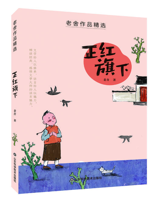《老舍作品精选》全6册（ 草原 北京的春节 猫 母鸡 济南的春天入选部编语文教材） 商品图5