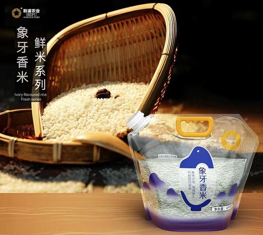 象牙香米4kg-38天鲜米系列 商品图2