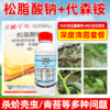 大鹏松脂酸钠升级版苍穹剑代森铵组合蚧壳虫介壳虫害虫果树清园剂 商品缩略图2