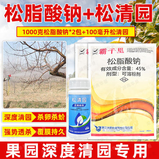 正品大鹏松脂酸钠松清园套餐果树柑橘树矢尖蚧粉介壳虫专用清园剂 商品图4