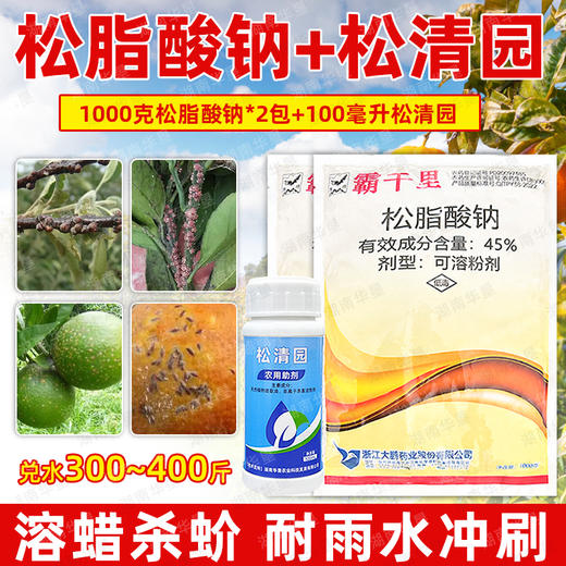 正品大鹏松脂酸钠松清园套餐果树柑橘树矢尖蚧粉介壳虫专用清园剂 商品图3