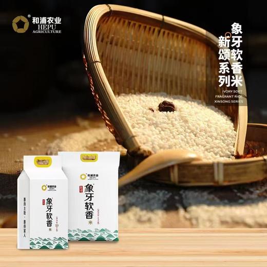 象牙软香米5kg-新颂系列 商品图6