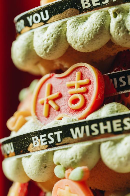 开心果草莓发财树 商品图5