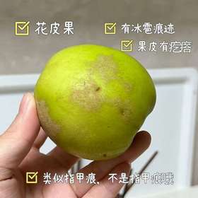 【西双版纳苹果枣】自然树熟 清香脆爽 甜蜜多汁 新鲜美味 4种规格任选