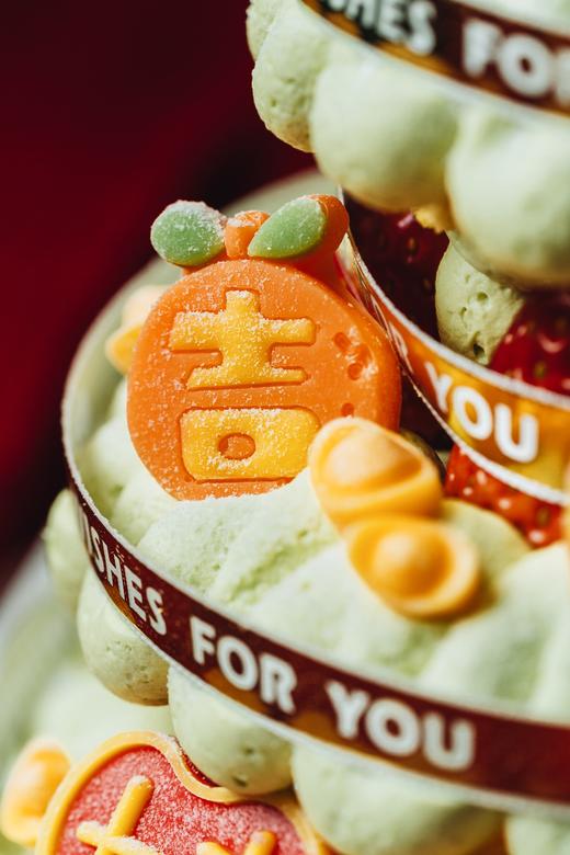 开心果草莓发财树 商品图3