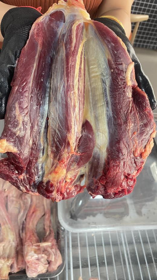 内蒙散养黄牛腱子（1斤左右） 商品图0