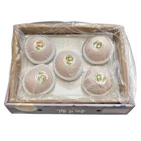 礼盒装冰糖秋月梨 约7斤/箱