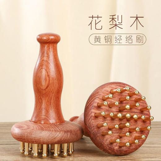 花梨木加长手柄29黄铜齿 经络刷 商品图0