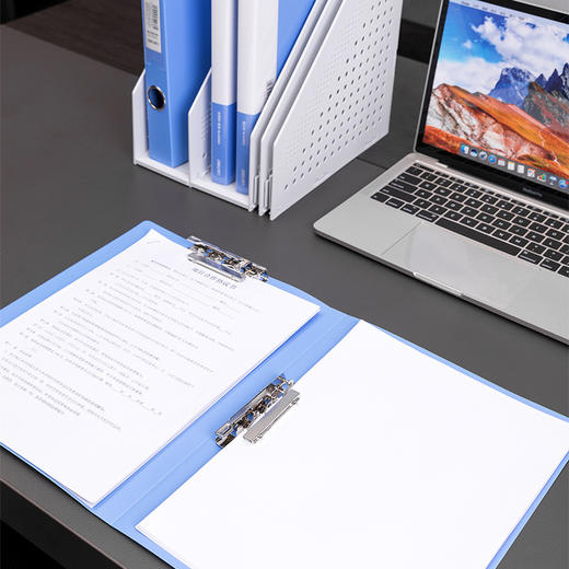 得力文件夹商务A4双夹商务办公双夹式5302ES资料夹整理收纳夹/个 商品图3