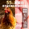 【金多乐金选】R55主食冻干480g锁鲜小包生骨肉成幼猫营养增肥发腮 商品缩略图4