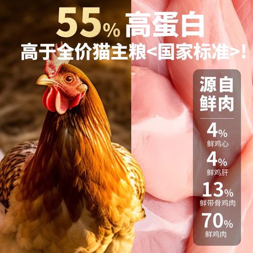 【金多乐金选】R55主食冻干480g锁鲜小包生骨肉成幼猫营养增肥发腮 商品图4