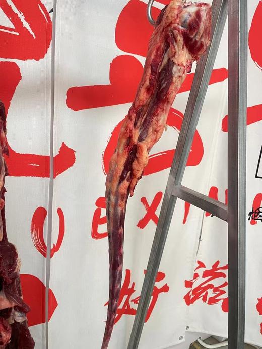 内蒙散养黄牛牛尾（一根大约4斤，多退少补） 商品图0